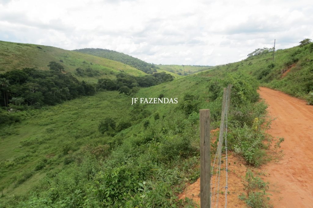 Fazenda em Leopoldina – MG – 1563,32 hectares Fazenda em Leopoldina – MG – 1563,32 hectares