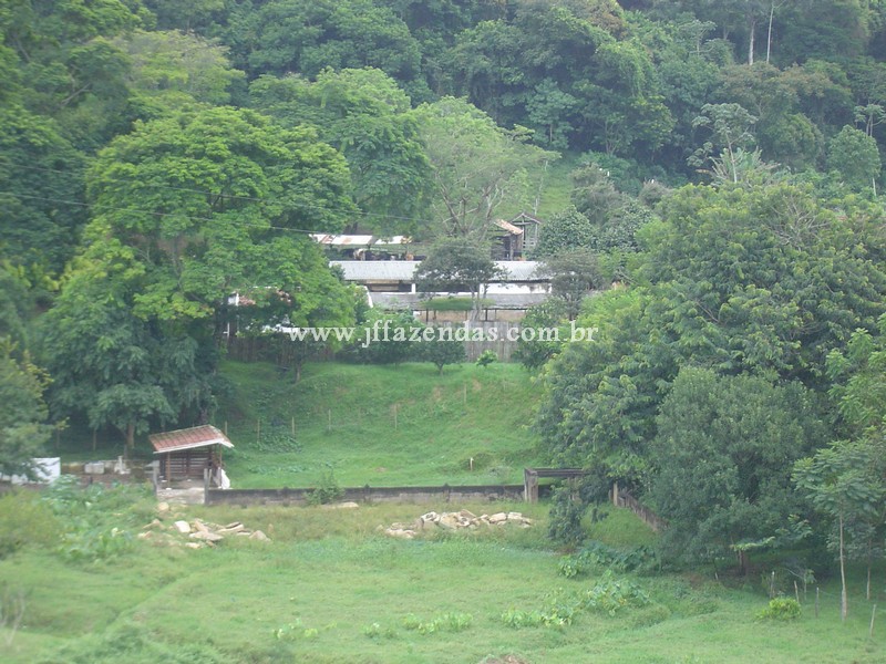 Fazenda em Belmiro Braga – MG – 837.32 hectares Fazenda em Belmiro Braga – MG – 837.32 hectares