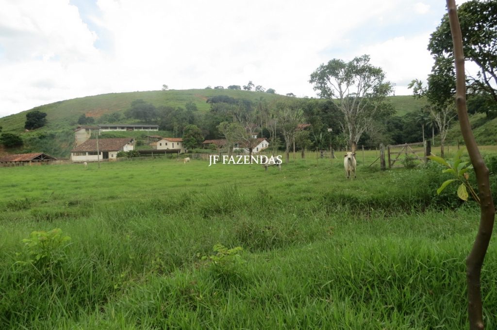 Fazenda em Leopoldina – MG – 1563,32 hectares Fazenda em Leopoldina – MG – 1563,32 hectares