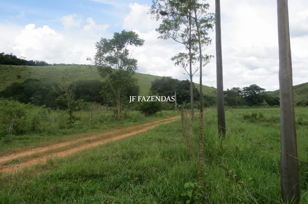 Fazenda em Leopoldina – MG – 1563,32 hectares Fazenda em Leopoldina – MG – 1563,32 hectares