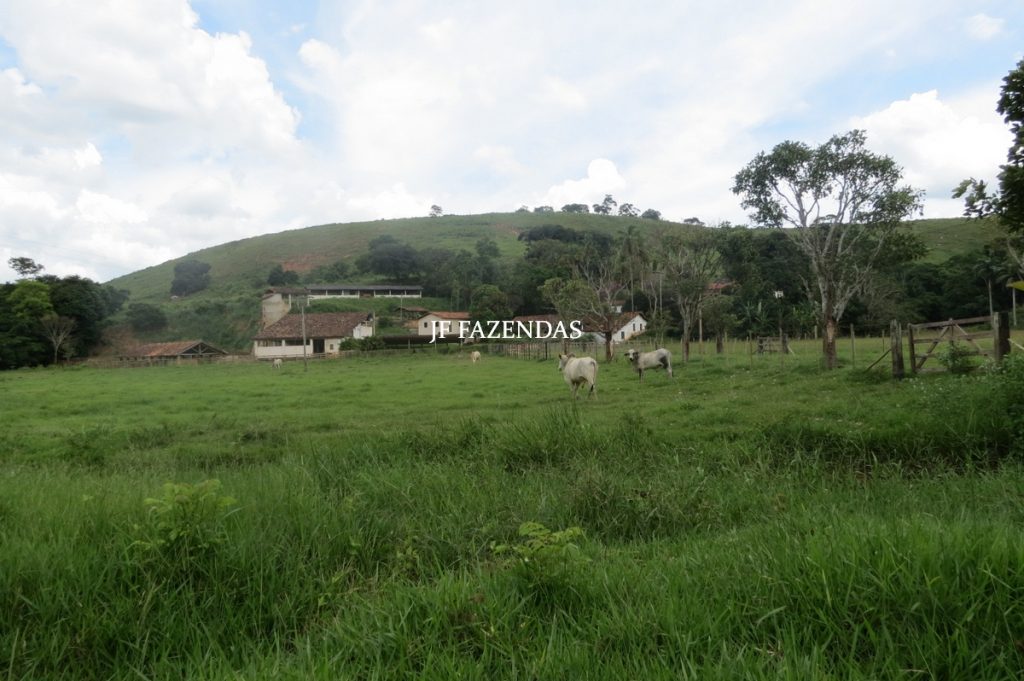 Fazenda em Leopoldina – MG – 1563,32 hectares Fazenda em Leopoldina – MG – 1563,32 hectares