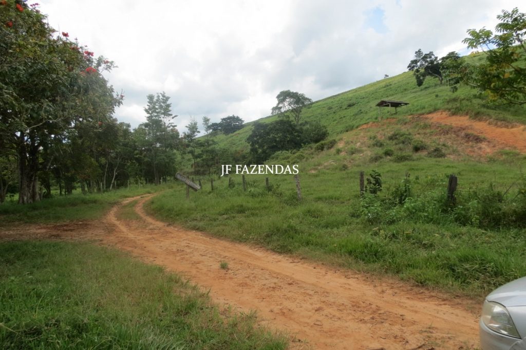 Fazenda em Leopoldina – MG – 1563,32 hectares Fazenda em Leopoldina – MG – 1563,32 hectares