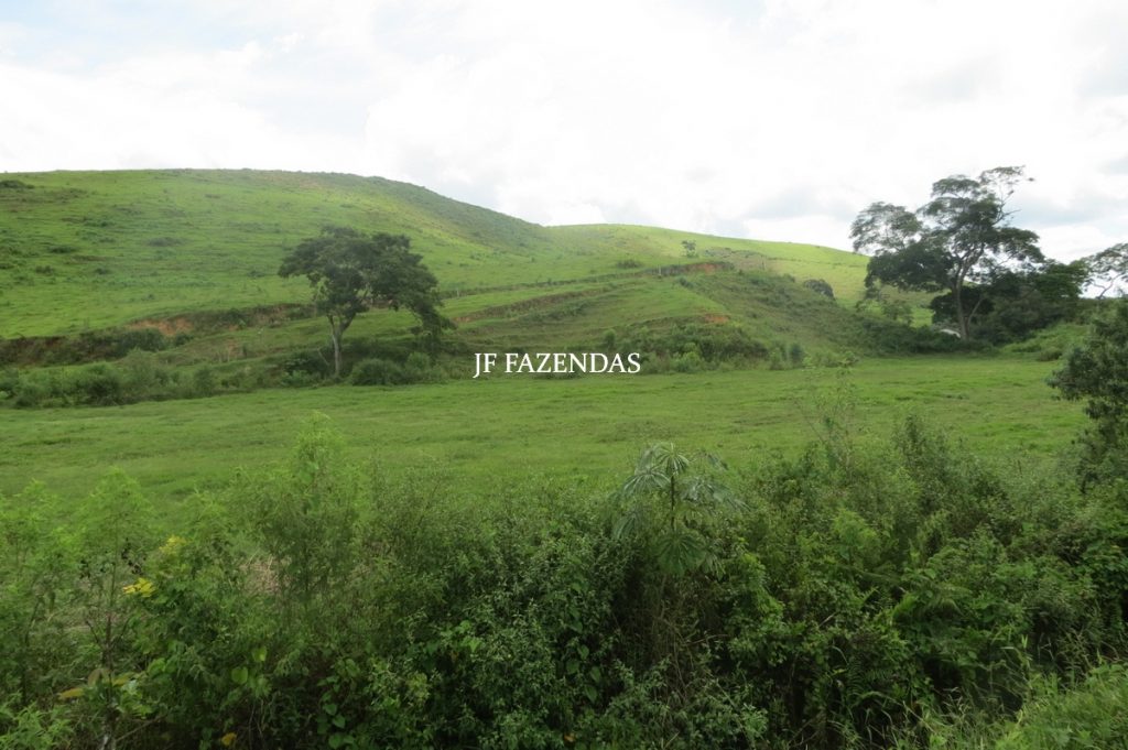 Fazenda em Leopoldina – MG – 1563,32 hectares Fazenda em Leopoldina – MG – 1563,32 hectares