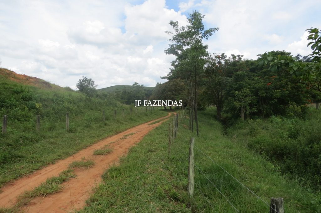 Fazenda em Leopoldina – MG – 1563,32 hectares Fazenda em Leopoldina – MG – 1563,32 hectares