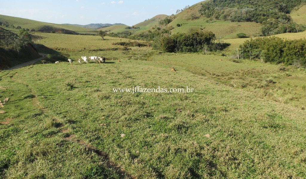 Fazenda em Juiz de Fora – MG – 420 hectares
