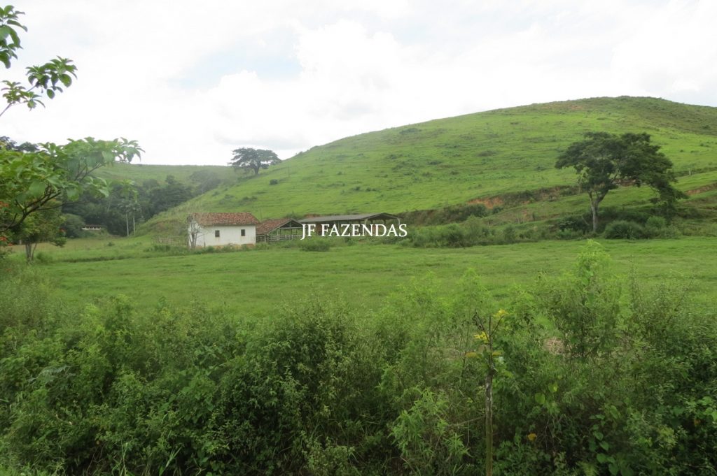 Fazenda em Leopoldina – MG – 1563,32 hectares Fazenda em Leopoldina – MG – 1563,32 hectares