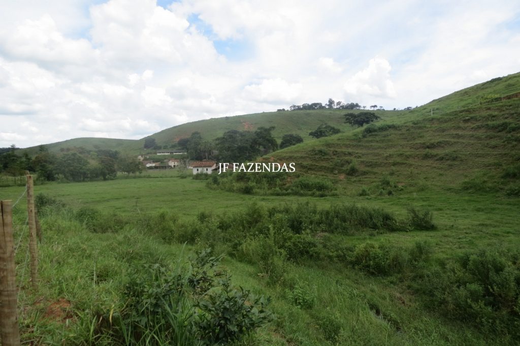 Fazenda em Leopoldina – MG – 1563,32 hectares Fazenda em Leopoldina – MG – 1563,32 hectares