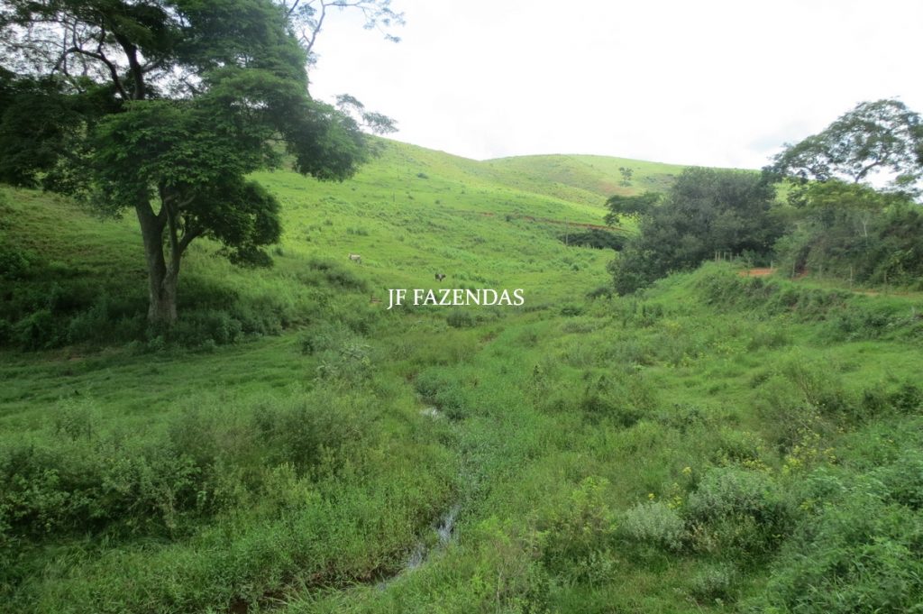 Fazenda em Leopoldina – MG – 1563,32 hectares Fazenda em Leopoldina – MG – 1563,32 hectares