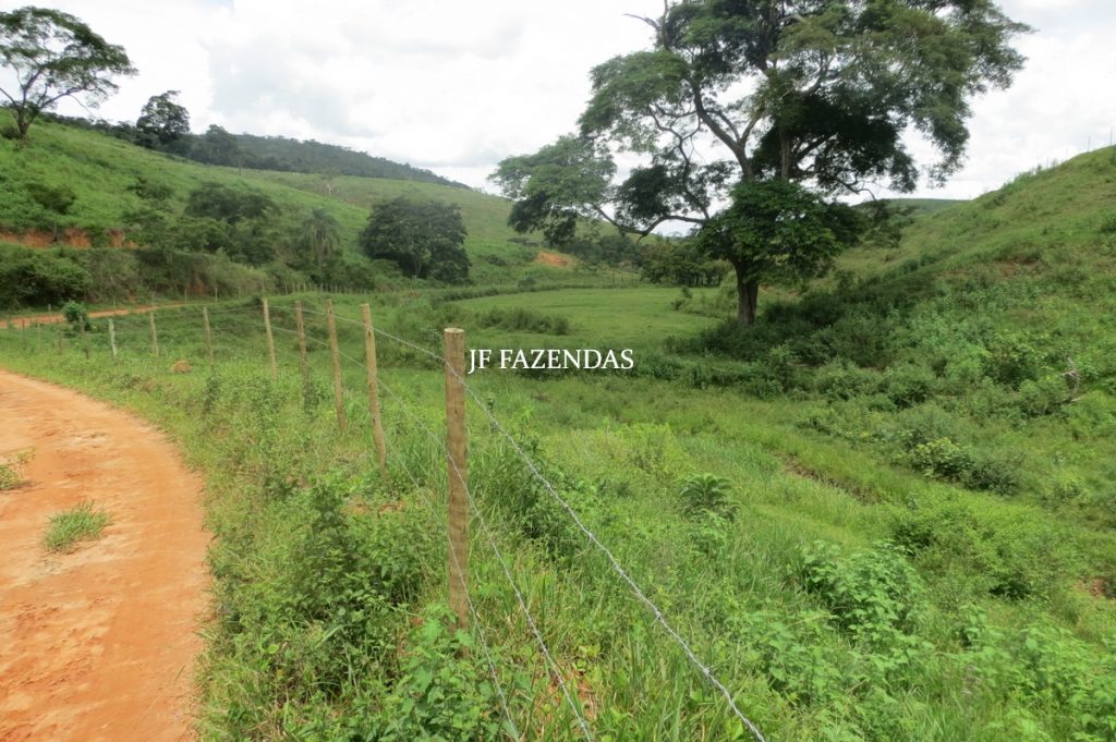Fazenda em Leopoldina – MG – 1563,32 hectares Fazenda em Leopoldina – MG – 1563,32 hectares