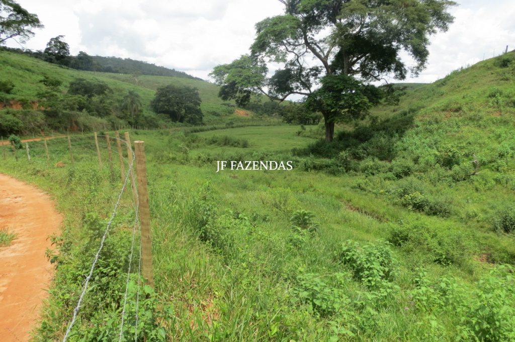 Fazenda em Leopoldina – MG – 1563,32 hectares Fazenda em Leopoldina – MG – 1563,32 hectares