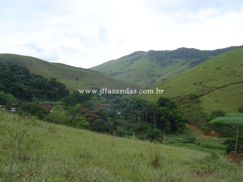 Fazenda em Belmiro Braga – MG – 837.32 hectares Fazenda em Belmiro Braga – MG – 837.32 hectares
