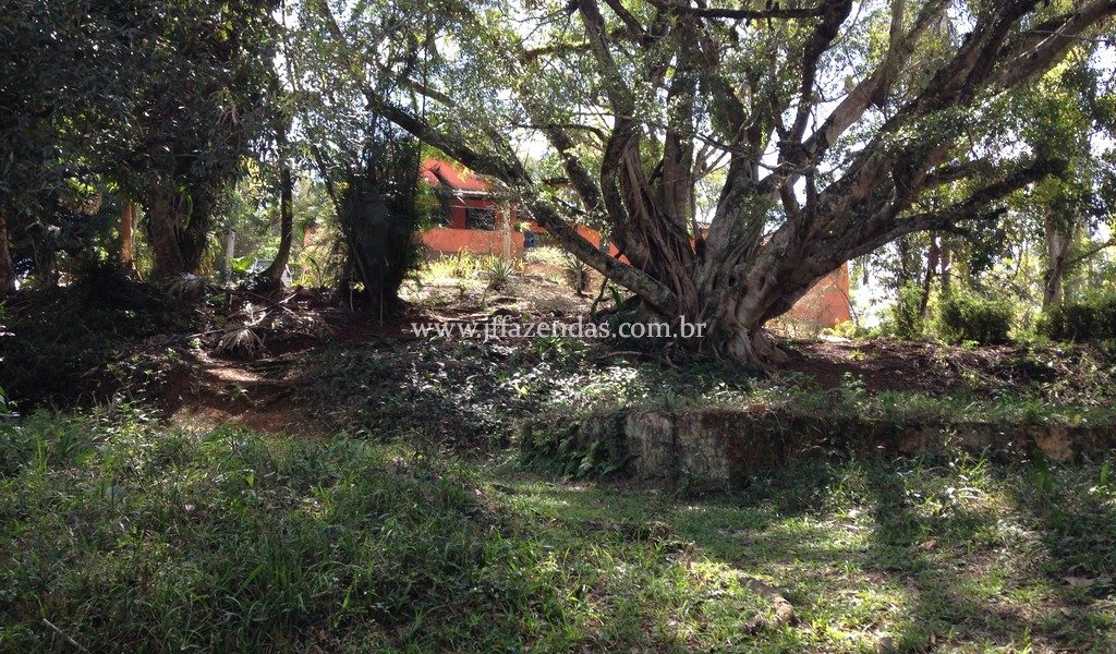Sítio em Belmiro Braga/MG – 25 hectares Sítio em Belmiro Braga/MG – 25 hectares
