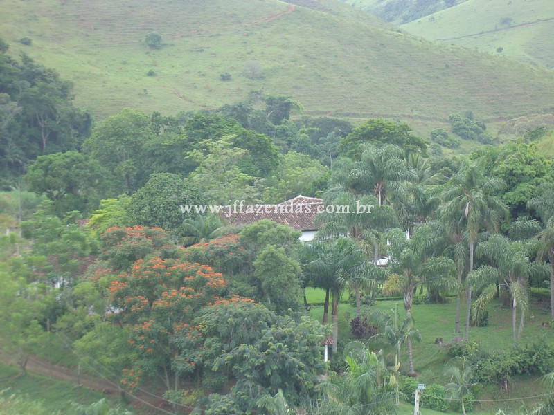 Fazenda em Belmiro Braga – MG – 837.32 hectares Fazenda em Belmiro Braga – MG – 837.32 hectares