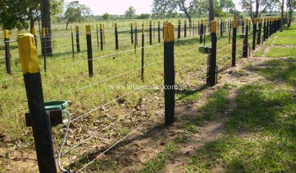 Fazenda em São Gabriel do Oeste – MS – 373 hectares Fazenda em São Gabriel do Oeste – MS – 373 hectares