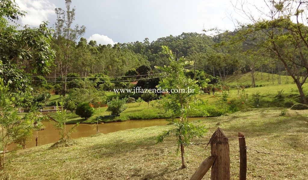 Fazenda 459,8 hectares em Belmiro Braga-MG Fazenda 459,8 hectares em Belmiro Braga-MG