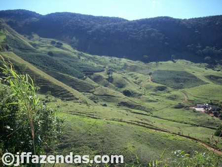 Fazenda em Carangola – MG – 148 hectares