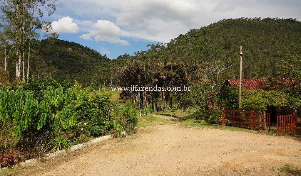 Fazenda 459,8 hectares em Belmiro Braga-MG Fazenda 459,8 hectares em Belmiro Braga-MG