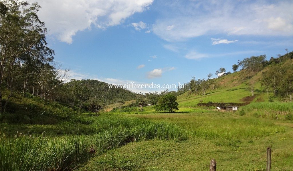 Fazenda 459,8 hectares em Belmiro Braga-MG Fazenda 459,8 hectares em Belmiro Braga-MG