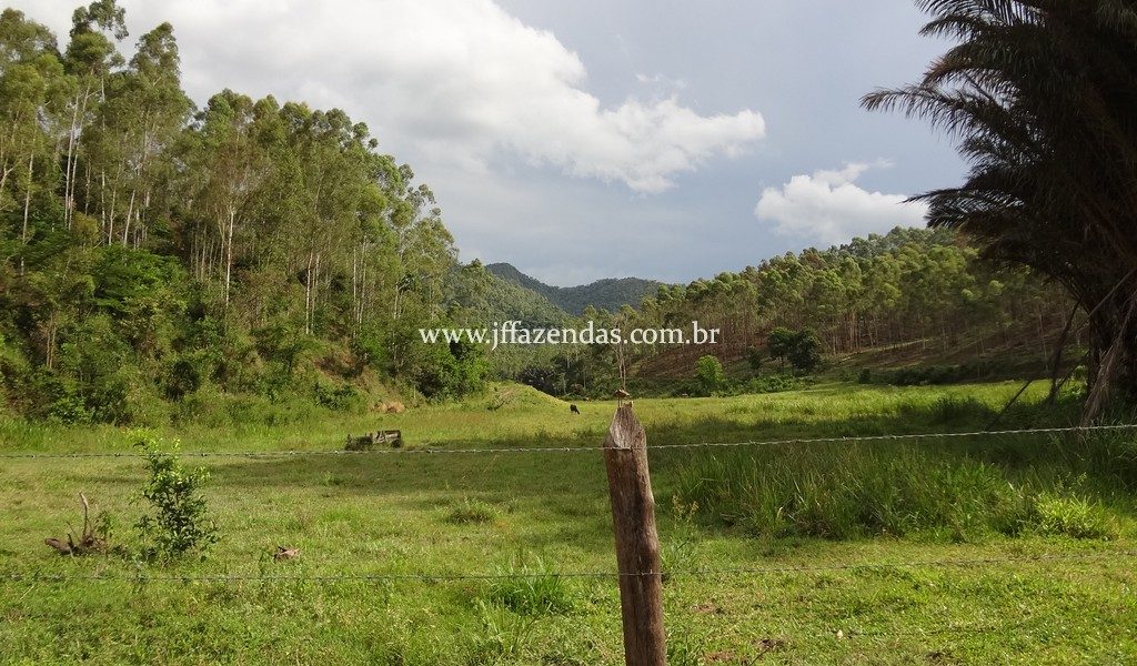 Fazenda 459,8 hectares em Belmiro Braga-MG Fazenda 459,8 hectares em Belmiro Braga-MG