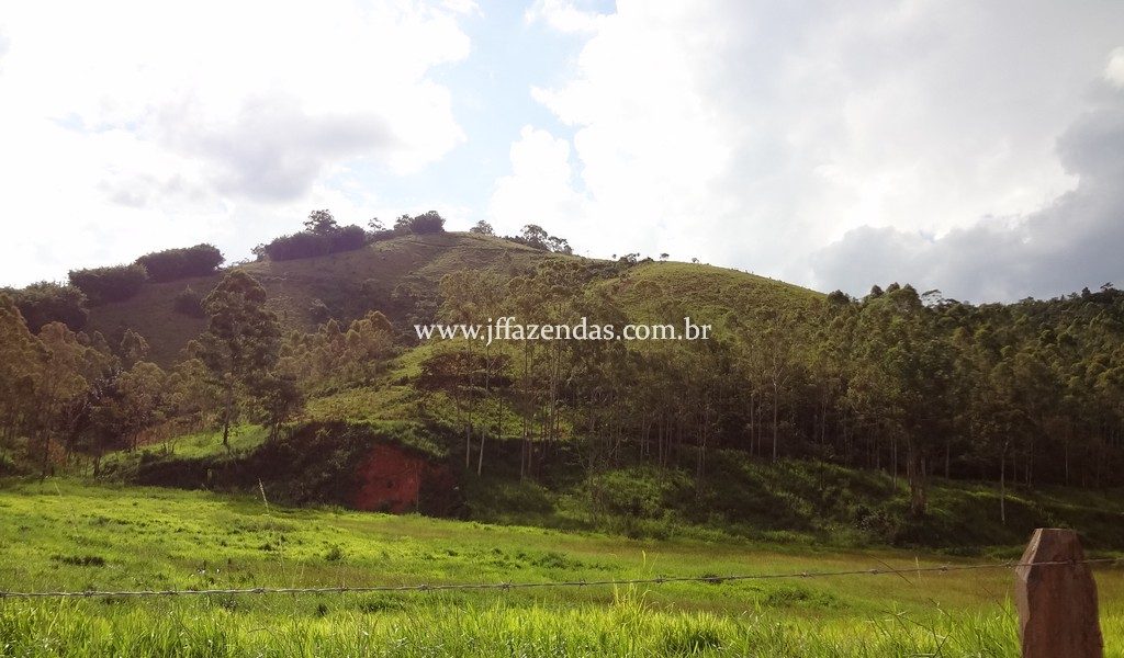 Fazenda 459,8 hectares em Belmiro Braga-MG Fazenda 459,8 hectares em Belmiro Braga-MG