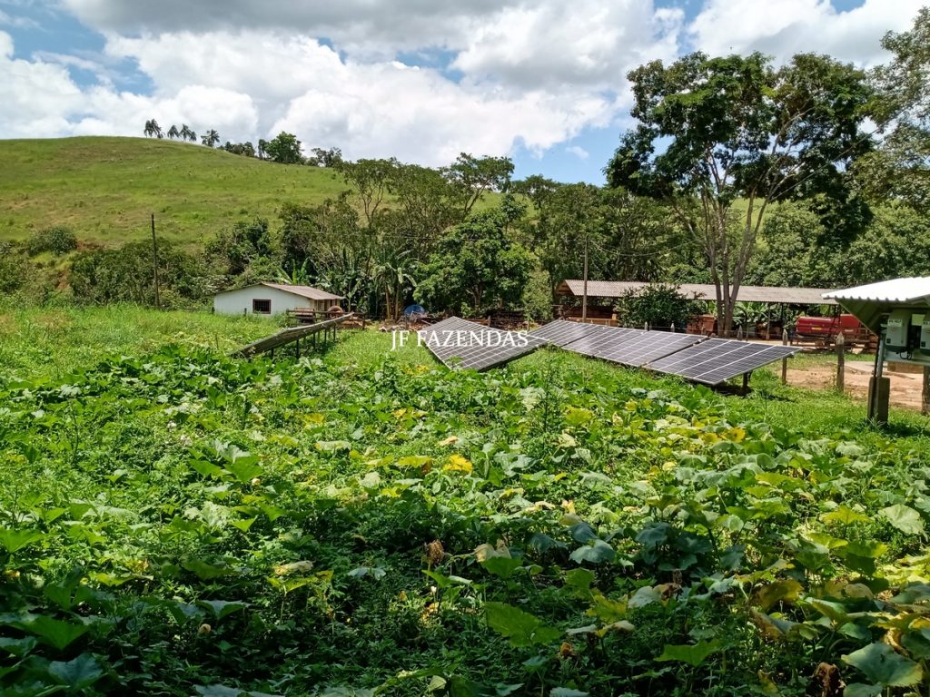 Fazenda produtora de leite – 315,5078 hectares – Guarani – MG Fazenda produtora de leite – 315,5078 hectares – Guarani – MG