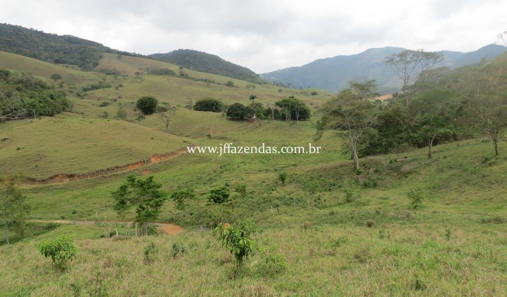 Fazenda Centenária – 255 hectares – Belmiro Braga – MG Fazenda Centenária – 255 hectares – Belmiro Braga – MG