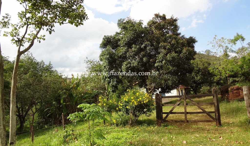 Fazenda 459,8 hectares em Belmiro Braga-MG Fazenda 459,8 hectares em Belmiro Braga-MG