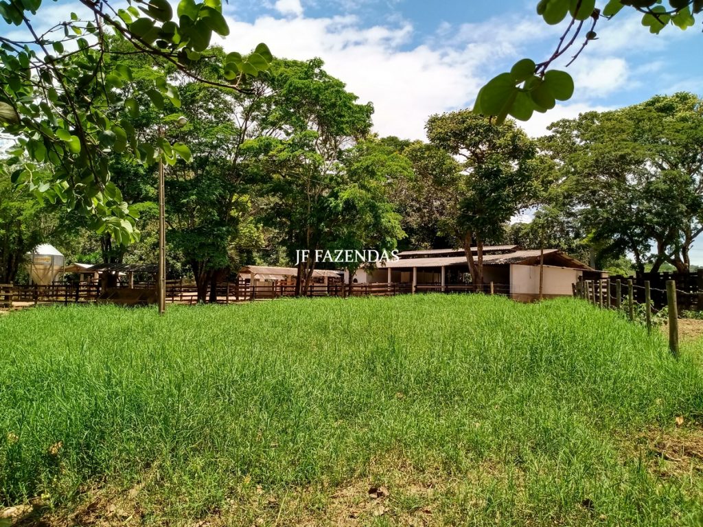 Fazenda produtora de leite – 315,5078 hectares – Guarani – MG Fazenda produtora de leite – 315,5078 hectares – Guarani – MG