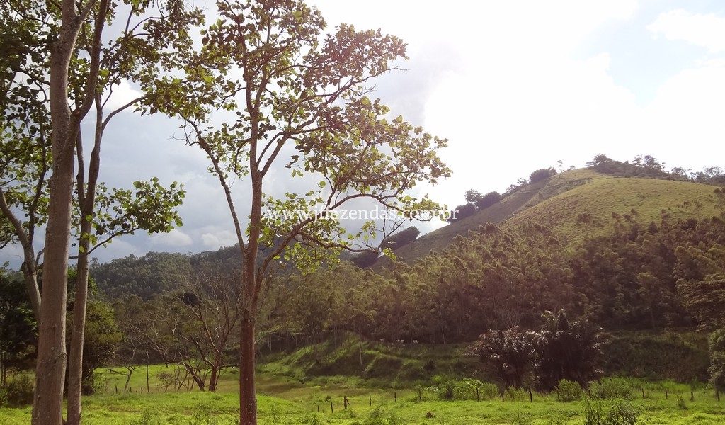 Fazenda 459,8 hectares em Belmiro Braga-MG Fazenda 459,8 hectares em Belmiro Braga-MG
