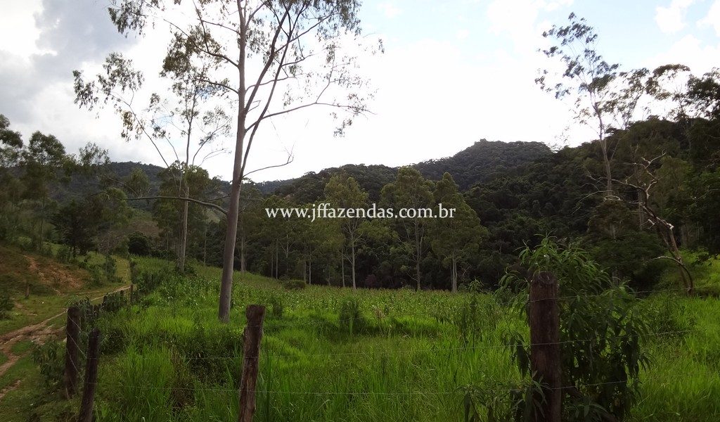 Fazenda 459,8 hectares em Belmiro Braga-MG Fazenda 459,8 hectares em Belmiro Braga-MG
