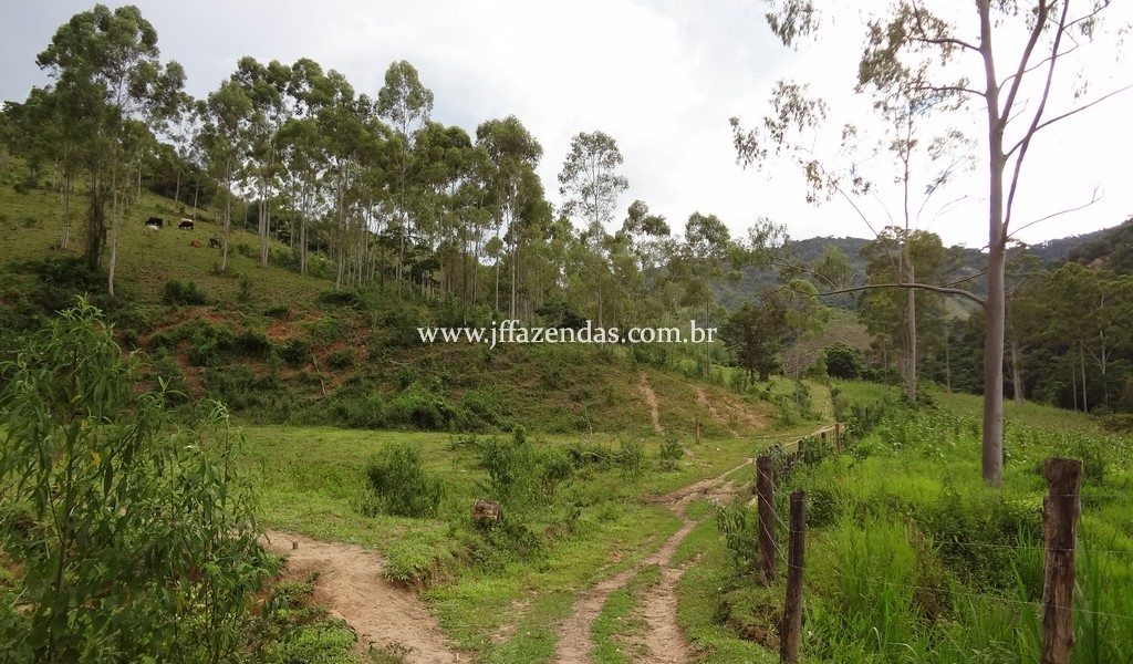 Fazenda 459,8 hectares em Belmiro Braga-MG Fazenda 459,8 hectares em Belmiro Braga-MG