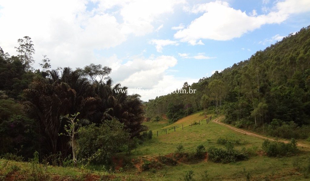 Fazenda 459,8 hectares em Belmiro Braga-MG Fazenda 459,8 hectares em Belmiro Braga-MG