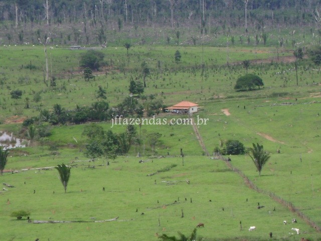 Fazenda em Alto Paraíso- RO – 1600 hectares