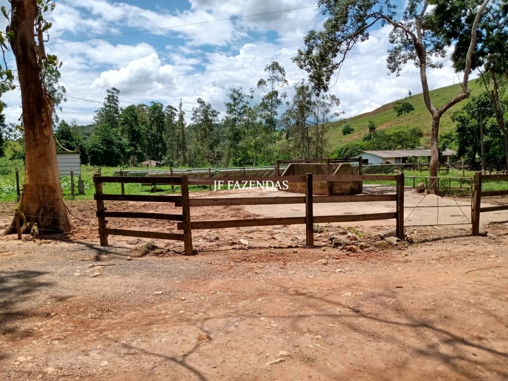 Fazenda produtora de leite – 315,5078 hectares – Guarani – MG Fazenda produtora de leite – 315,5078 hectares – Guarani – MG