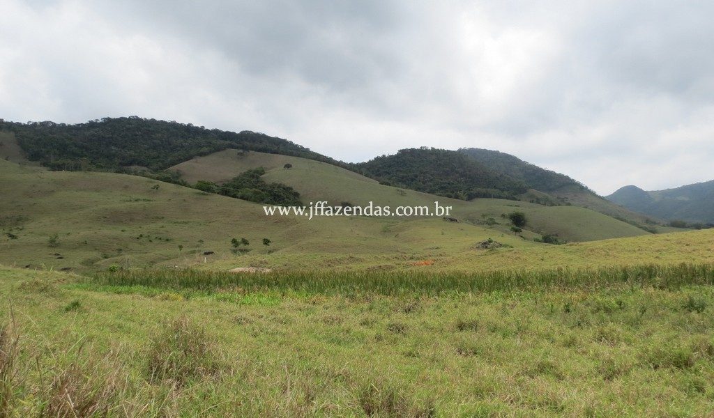 Fazenda Centenária – 255 hectares – Belmiro Braga – MG Fazenda Centenária – 255 hectares – Belmiro Braga – MG
