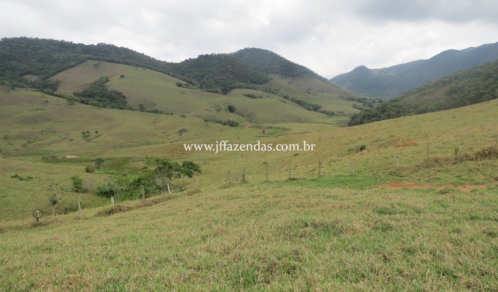 Fazenda Centenária – 255 hectares – Belmiro Braga – MG Fazenda Centenária – 255 hectares – Belmiro Braga – MG