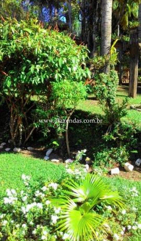 Granja de alto padrão em Matias Barbosa – MG – 1,9 hectares Granja de alto padrão em Matias Barbosa – MG – 1,9 hectares