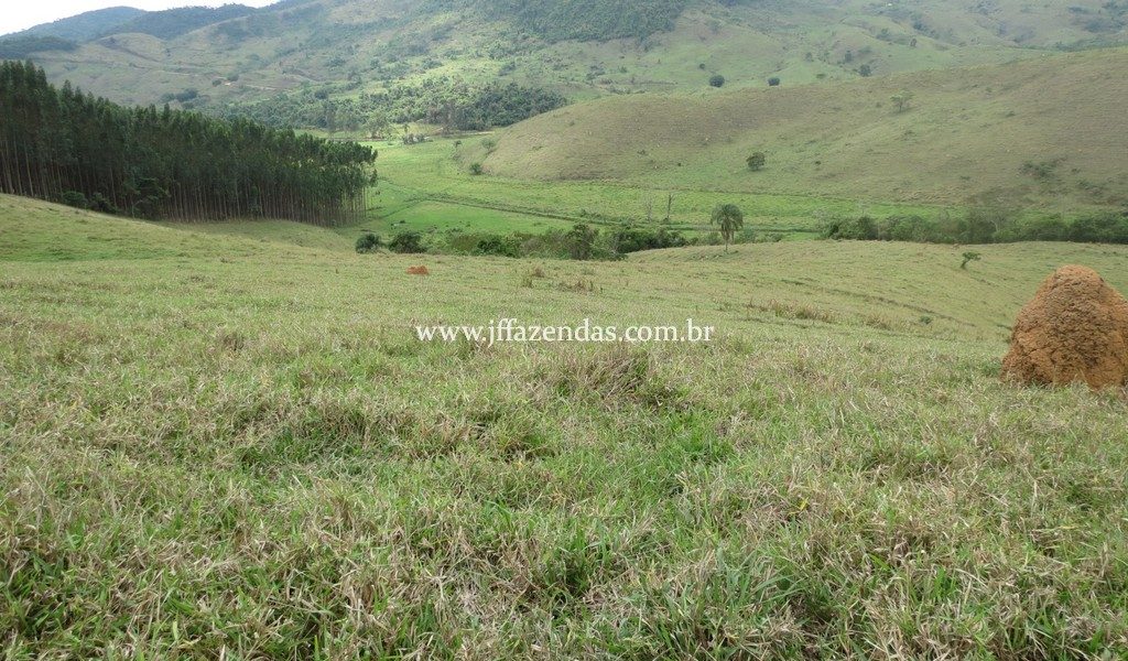 Fazenda Centenária – 255 hectares – Belmiro Braga – MG Fazenda Centenária – 255 hectares – Belmiro Braga – MG