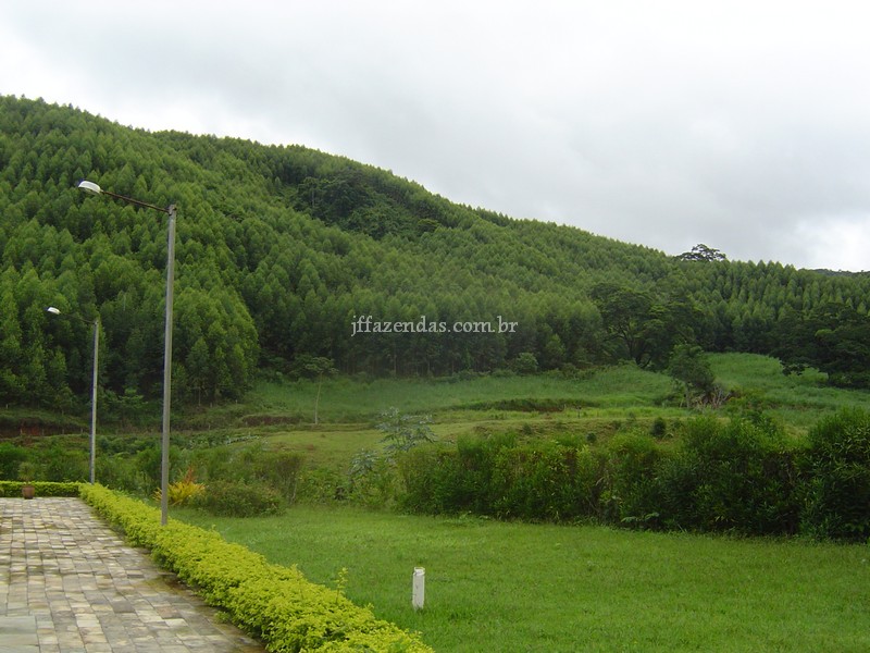Fazenda em Santana do Deserto/MG – 370 hectares Fazenda em Santana do Deserto/MG – 370 hectares