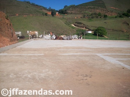Fazenda em Carangola – MG – 148 hectares Fazenda em Carangola – MG – 148 hectares