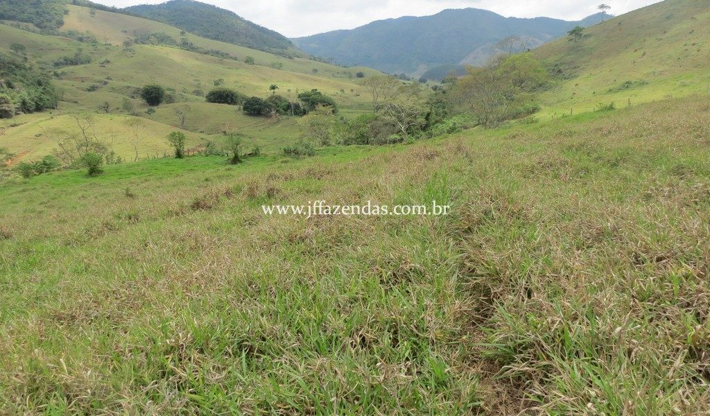 Fazenda Centenária – 255 hectares – Belmiro Braga – MG Fazenda Centenária – 255 hectares – Belmiro Braga – MG