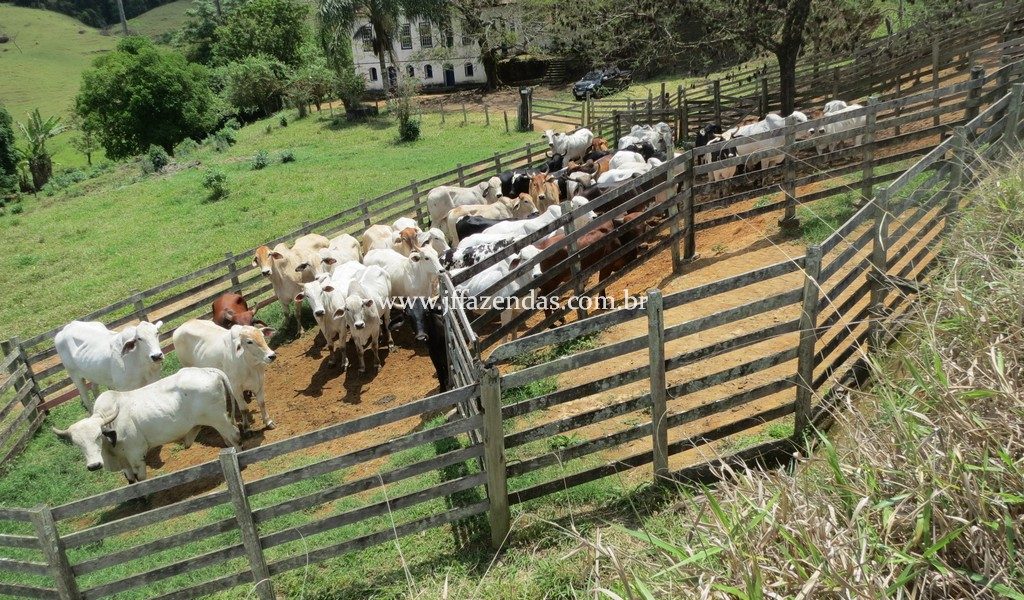 Fazenda Centenária – 255 hectares – Belmiro Braga – MG Fazenda Centenária – 255 hectares – Belmiro Braga – MG