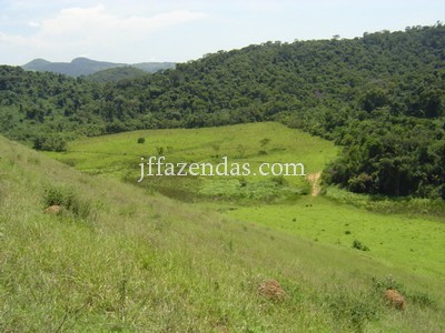 Fazenda Matias Barbosa – MG – 166 hectares