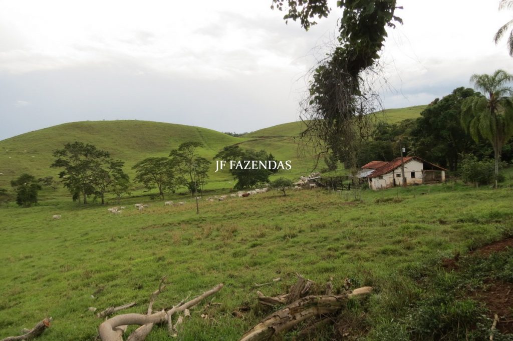 Fazenda Matias Barbosa – MG – 166 hectares
