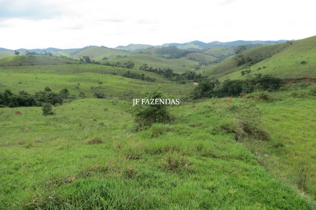 Fazenda em Juiz de Fora – MG – 958,32 hectares Fazenda em Juiz de Fora – MG – 958,32 hectares