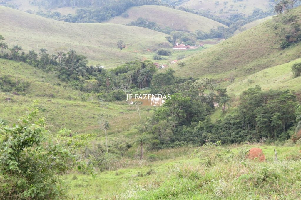 Fazenda em Juiz de Fora – MG – 958,32 hectares Fazenda em Juiz de Fora – MG – 958,32 hectares