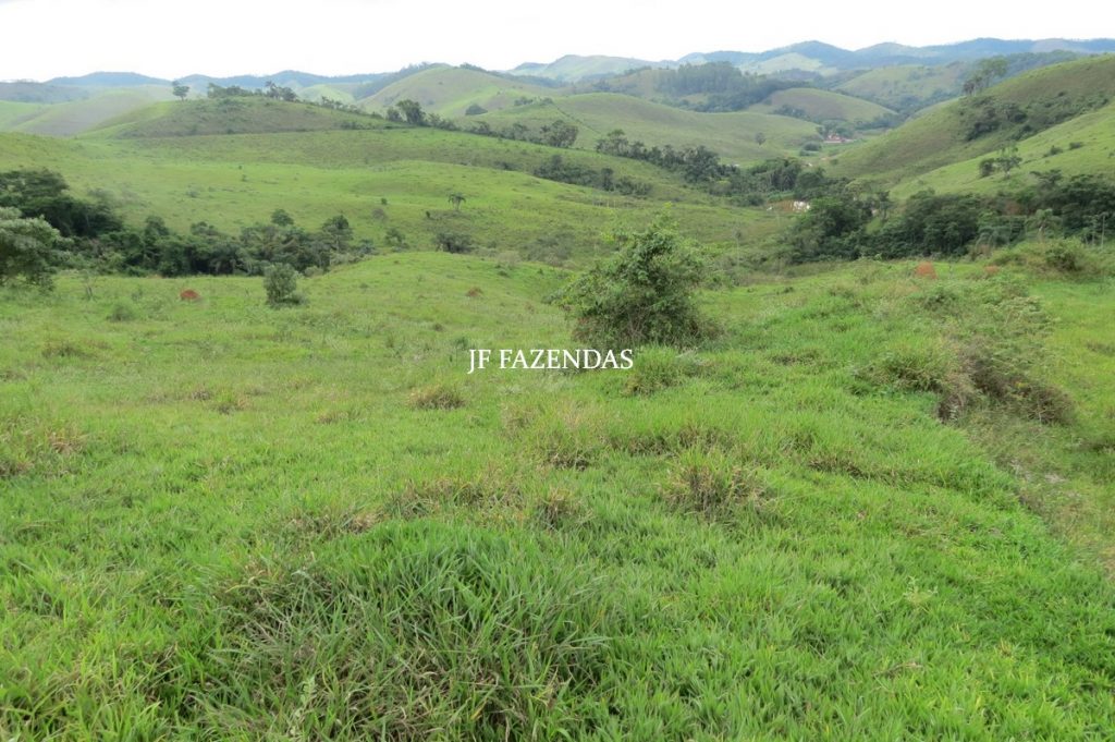 Fazenda em Juiz de Fora – MG – 958,32 hectares Fazenda em Juiz de Fora – MG – 958,32 hectares