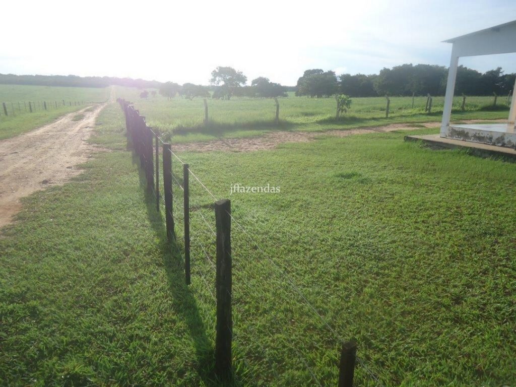 Fazenda em São Gabriel do Oeste – MS – 373 hectares