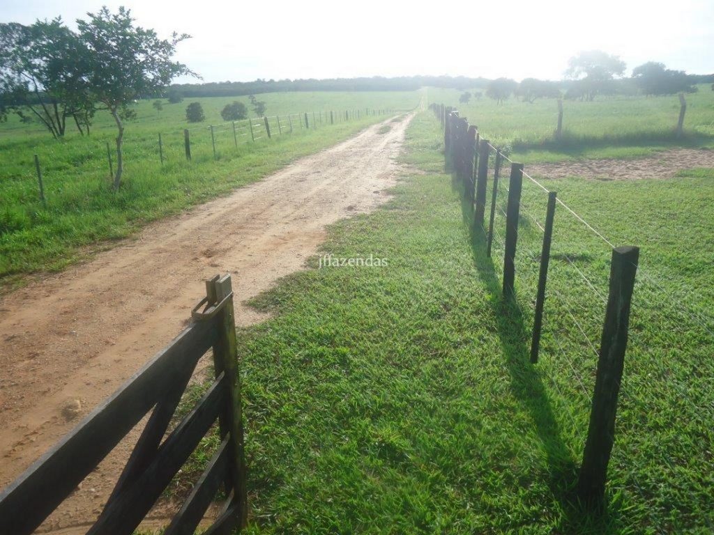 Fazenda em São Gabriel do Oeste – MS – 373 hectares