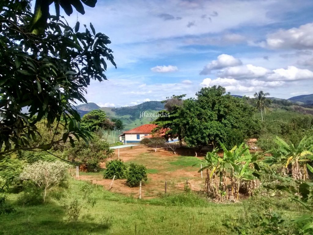 Fazenda em São João Nepomuceno – MG (Rochedo) – 238 hectares Fazenda em São João Nepomuceno – MG (Rochedo) – 238 hectares